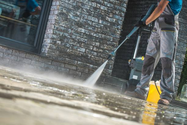 Best Roof Washing  in Oakdale, MN