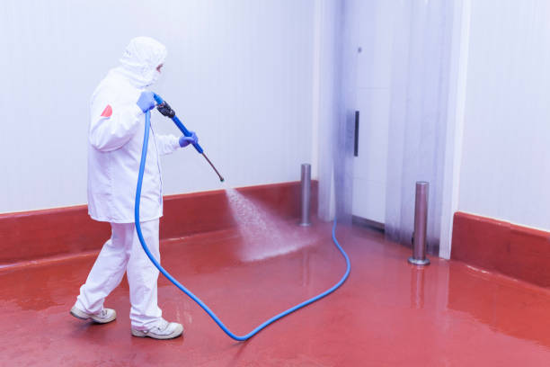 Best Rust Removal  in Oakdale, MN
